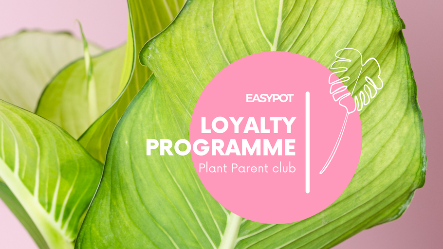 EASYPOT Lojalitātes Programma – Plant Parent Club 🌿