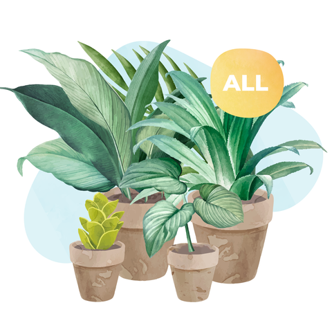 All plants