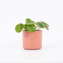 Load image into Gallery viewer, Cool Soft Pink Pot
