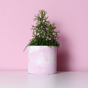 Pink Concrete Pot (size S)
