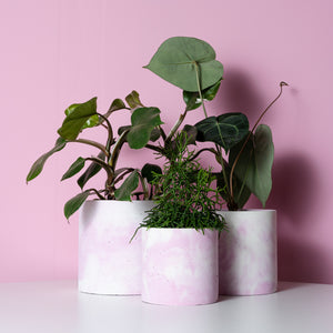 Pink Concrete Pot (size S) 🇱🇻