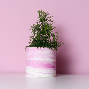 Pink Marble Pot (size S) 🇱🇻